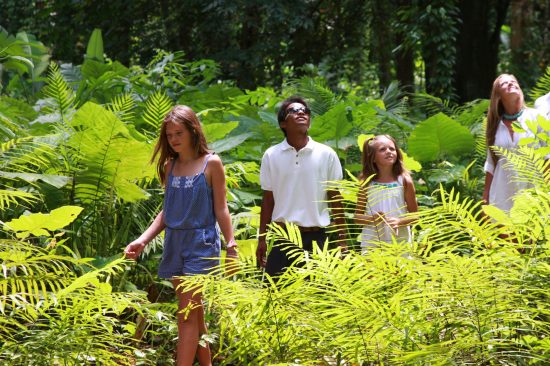 [www.soneva.com][16]JungleTrekking-by-Cat-Vinton